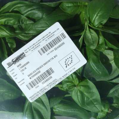 BASILICO FRESCO BIO 30 gr in vaschetta