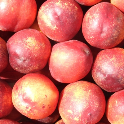 PESCHE NETTARINE cal B BIO