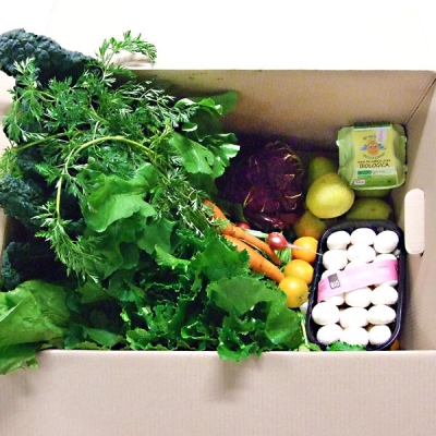 GRANDE MISTA 9 KG A DOMICILIO