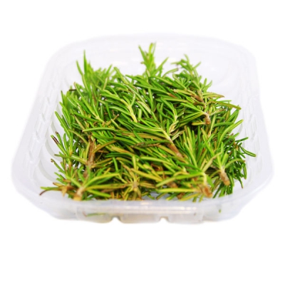 ROSMARINO IN VASCHETTA BIO 50 g