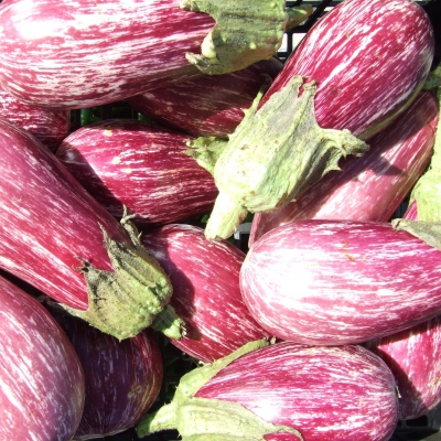 MELANZANE STRIATE BIO