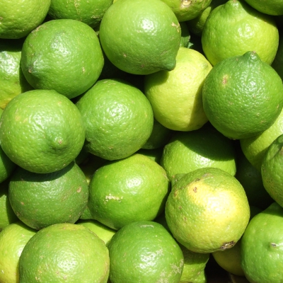 LIMONE VERDELLO cal 3-4 BIO