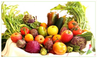 Workshop CREA il BIO: Comprendere e fare il biologico