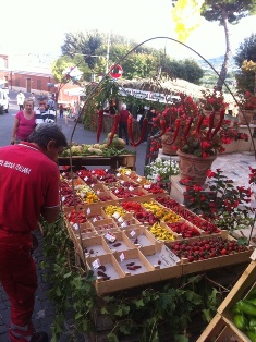 Festa dell'uva a Colonna