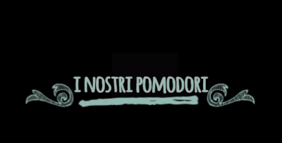 I nostri pomodori... il trapianto