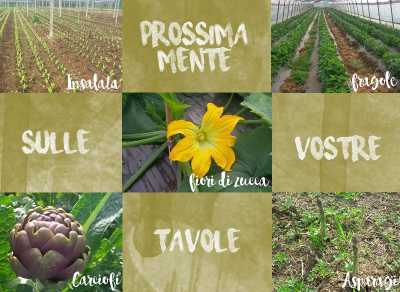 nuovi arrivi Aprile 2016