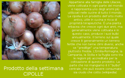 Il prodotto della settimana: La cipolla