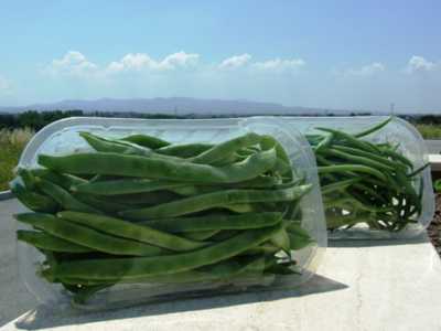 Fagiolini e fagioli corallo in vaschetta