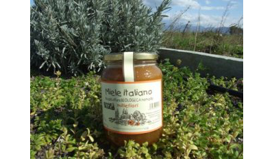 APICOLTURA DA AGRICOLTURA BIOLOGICA